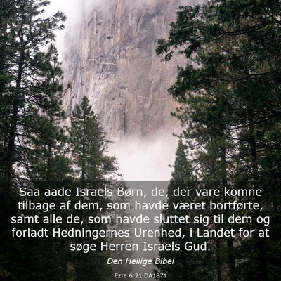 Picture 03 - Ezra 6:21 DA1871 - Saa aade Israels Børn, de, der vare komne - Bible Verse Picture