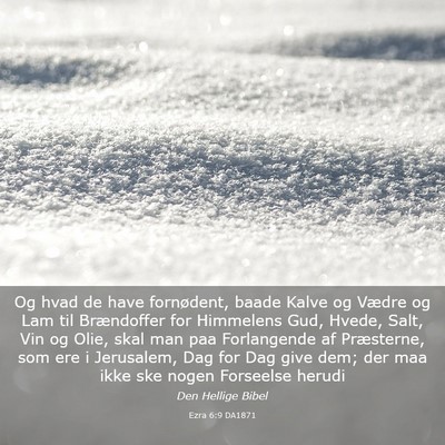 Picture 03 - Ezra 6:9 DA1871 - Og hvad de have fornødent, baade Kalve og Vædre - Bible Verse Picture