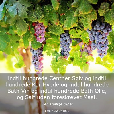 Picture 03 - Ezra 7:22 DA1871 - indtil hundrede Centner Sølv og indtil hundrede - Bible Verse Picture