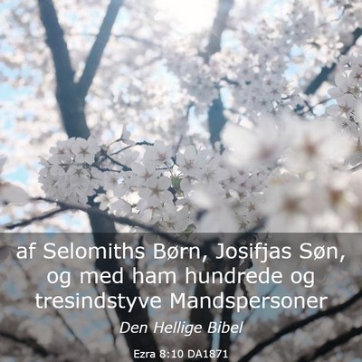 Picture 03 - Ezra 8:10 DA1871 - af Selomiths Børn, Josifjas Søn, og med ham - Bible Verse Picture