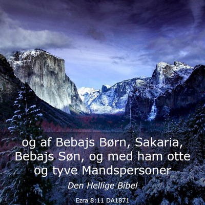 Picture 03 - Ezra 8:11 DA1871 - og af Bebajs Børn, Sakaria, Bebajs Søn, og med - Bible Verse Picture