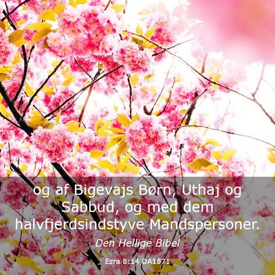 Picture 03 - Ezra 8:14 DA1871 - og af Bigevajs Børn, Uthaj og Sabbud, og med dem - Bible Verse Picture