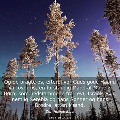Picture 03 - Ezra 8:18 DA1871 - Og de bragte os, efterdi vor Guds gode Haand var - Bible Verse Picture