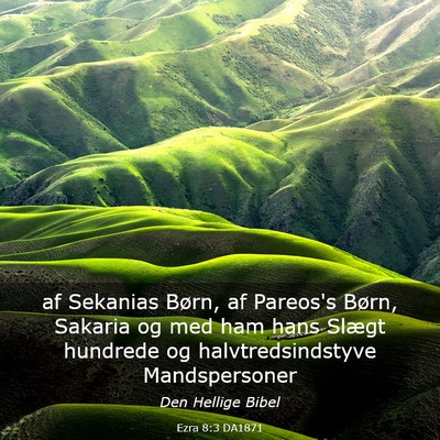 Picture 03 - Ezra 8:3 DA1871 - af Sekanias Børn, af Pareos's Børn, Sakaria og - Bible Verse Picture