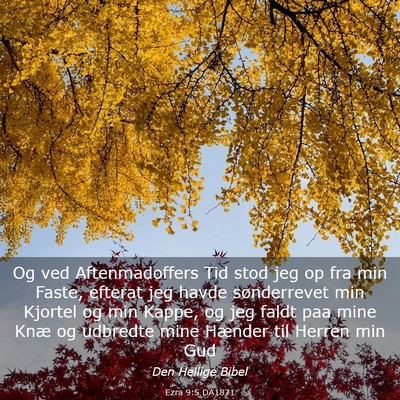 Picture 03 - Ezra 9:5 DA1871 - Og ved Aftenmadoffers Tid stod jeg op fra min - Bible Verse Picture