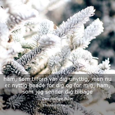 Picture 03 - Filemon 1:11 DA1871 - ham, som tilforn var dig unyttig, men nu er - Bible Verse Picture