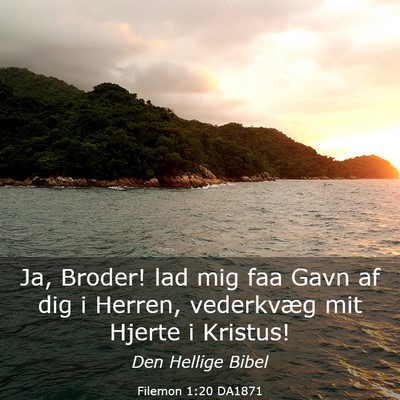 Picture 03 - Filemon 1:20 DA1871 - Ja, Broder! lad mig faa Gavn af dig i Herren, - Bible Verse Picture