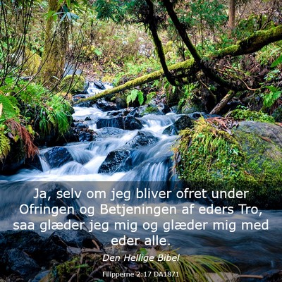 Picture 03 - Filipperne 2:17 DA1871 - Ja, selv om jeg bliver ofret under Ofringen og - Bible Verse Picture