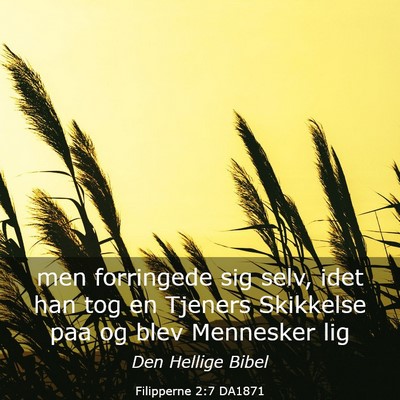 Picture 03 - Filipperne 2:7 DA1871 - men forringede sig selv, idet han tog en Tjeners - Bible Verse Picture