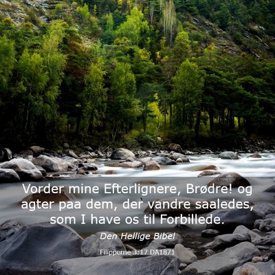 Picture 03 - Filipperne 3:17 DA1871 - Vorder mine Efterlignere, Brødre! og agter paa - Bible Verse Picture