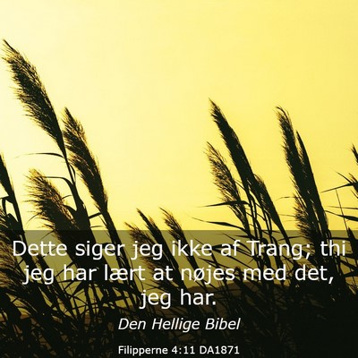 Picture 03 - Filipperne 4:11 DA1871 - Dette siger jeg ikke af Trang; thi jeg har lært - Bible Verse Picture