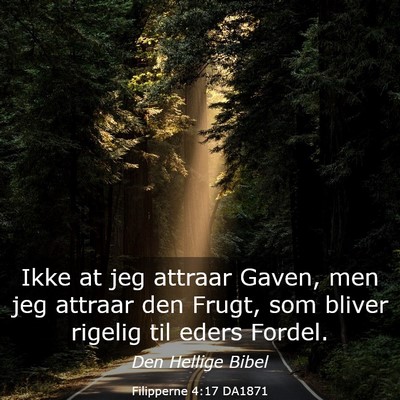Picture 03 - Filipperne 4:17 DA1871 - Ikke at jeg attraar Gaven, men jeg attraar den - Bible Verse Picture