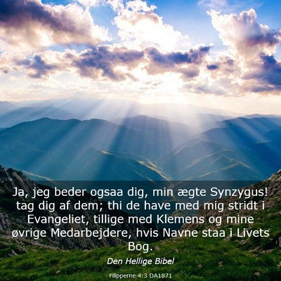 Picture 03 - Filipperne 4:3 DA1871 - Ja, jeg beder ogsaa dig, min ægte Synzygus! tag - Bible Verse Picture
