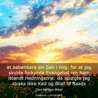 Picture 03 - Galaterne 1:16 DA1871 - at aabenbare sin Søn i mig, for at jeg skulde - Bible Verse Picture