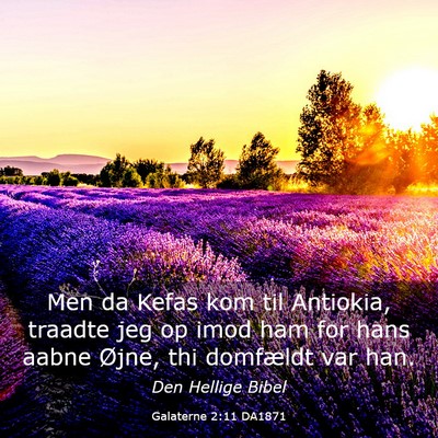 Picture 03 - Galaterne 2:11 DA1871 - Men da Kefas kom til Antiokia, traadte jeg op - Bible Verse Picture