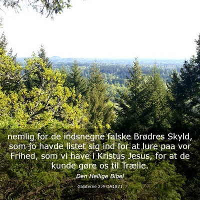 Picture 03 - Galaterne 2:4 DA1871 - nemlig for de indsnegne falske Brødres Skyld, - Bible Verse Picture