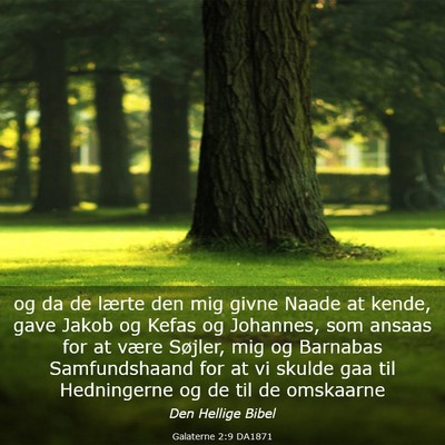 Picture 03 - Galaterne 2:9 DA1871 - og da de lærte den mig givne Naade at kende, - Bible Verse Picture