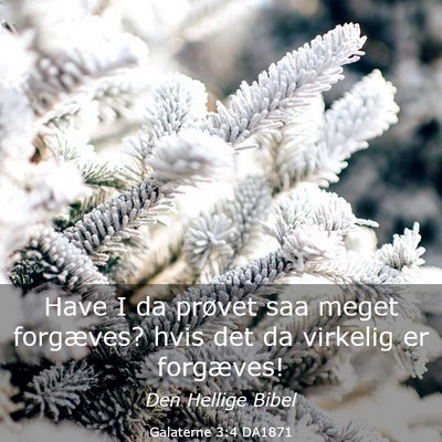 Picture 03 - Galaterne 3:4 DA1871 - Have I da prøvet saa meget forgæves? hvis det - Bible Verse Picture
