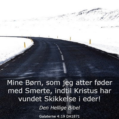 Picture 03 - Galaterne 4:19 DA1871 - Mine Børn, som jeg atter føder med Smerte, - Bible Verse Picture