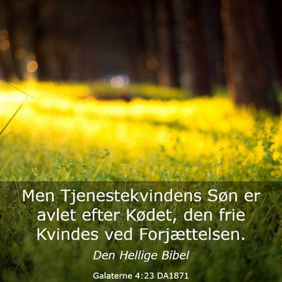 Picture 03 - Galaterne 4:23 DA1871 - Men Tjenestekvindens Søn er avlet efter Kødet, - Bible Verse Picture
