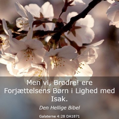 Picture 03 - Galaterne 4:28 DA1871 - Men vi, Brødre! ere Forjættelsens Børn i - Bible Verse Picture