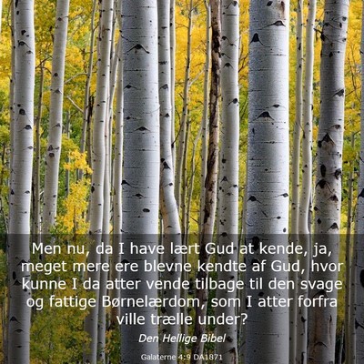 Picture 03 - Galaterne 4:9 DA1871 - Men nu, da I have lært Gud at kende, ja, meget - Bible Verse Picture
