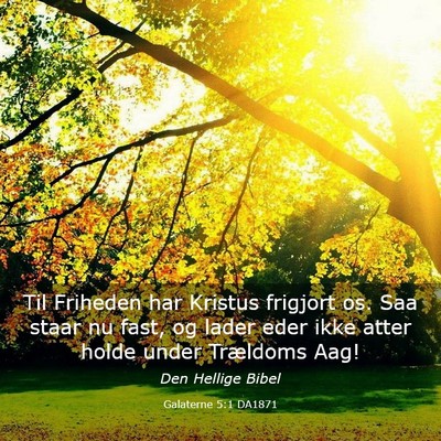 Picture 03 - Galaterne 5:1 DA1871 - Til Friheden har Kristus frigjort os. Saa staar - Bible Verse Picture