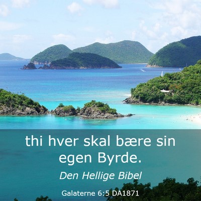 Picture 03 - Galaterne 6:5 DA1871 - thi hver skal bære sin egen - Bible Verse Picture