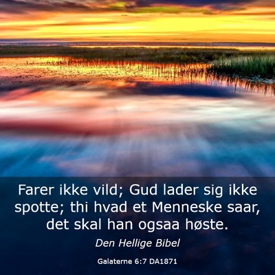 Picture 03 - Galaterne 6:7 DA1871 - Farer ikke vild; Gud lader sig ikke spotte; thi - Bible Verse Picture