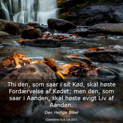 Picture 03 - Galaterne 6:8 DA1871 - Thi den, som saar i sit Kød, skal høste - Bible Verse Picture