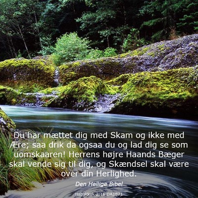 Picture 03 - Habakkuk 2:16 DA1871 - Du har mættet dig med Skam og ikke med Ære; saa - Bible Verse Picture