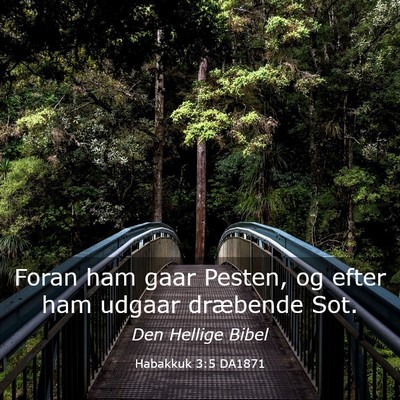 Picture 03 - Habakkuk 3:5 DA1871 - Foran ham gaar Pesten, og efter ham udgaar - Bible Verse Picture