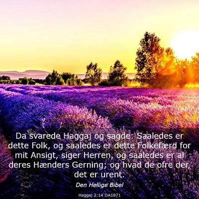 Picture 03 - Haggaj 2:14 DA1871 - Da svarede Haggaj og sagde: Saaledes er dette - Bible Verse Picture