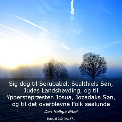 Picture 03 - Haggaj 2:2 DA1871 - Sig dog til Serubabel, Sealthiels Søn, Judas - Bible Verse Picture