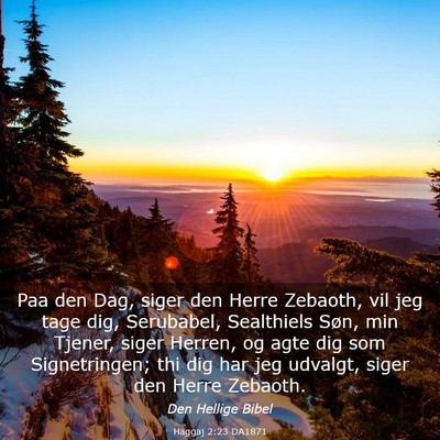 Picture 03 - Haggaj 2:23 DA1871 - Paa den Dag, siger den Herre Zebaoth, vil jeg - Bible Verse Picture