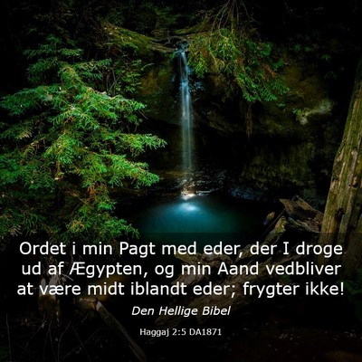 Picture 03 - Haggaj 2:5 DA1871 - Ordet i min Pagt med eder, der I droge ud af - Bible Verse Picture