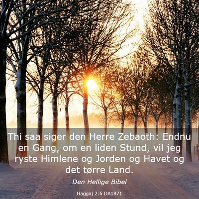 Picture 03 - Haggaj 2:6 DA1871 - Thi saa siger den Herre Zebaoth: Endnu en Gang, - Bible Verse Picture