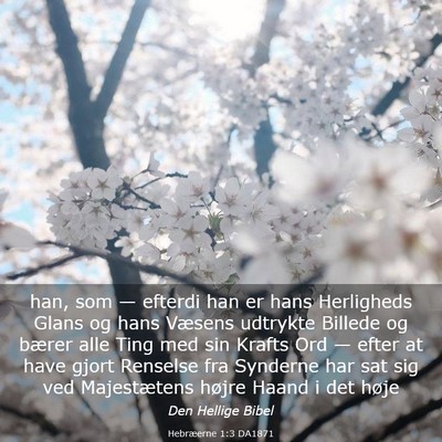 Picture 03 - Hebræerne 1:3 DA1871 - han, som — efterdi han er hans Herligheds Glans - Bible Verse Picture