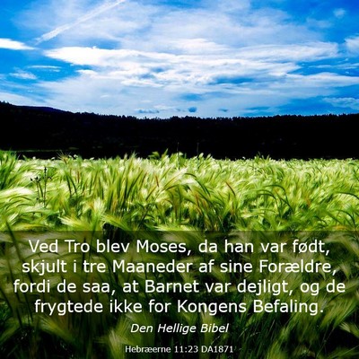 Picture 03 - Hebræerne 11:23 DA1871 - Ved Tro blev Moses, da han var født, skjult i - Bible Verse Picture