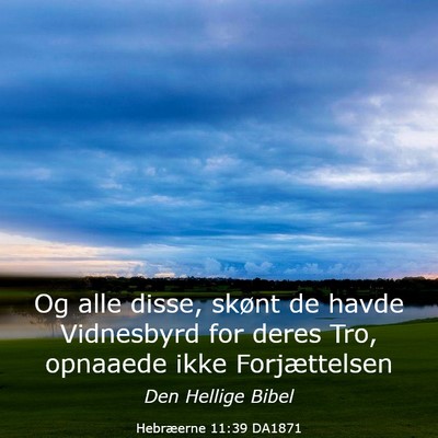 Picture 03 - Hebræerne 11:39 DA1871 - Og alle disse, skønt de havde Vidnesbyrd for - Bible Verse Picture