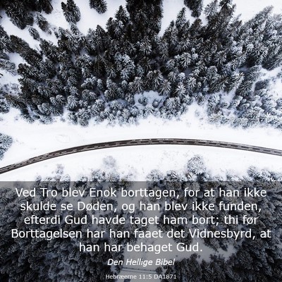 Picture 03 - Hebræerne 11:5 DA1871 - Ved Tro blev Enok borttagen, for at han ikke - Bible Verse Picture