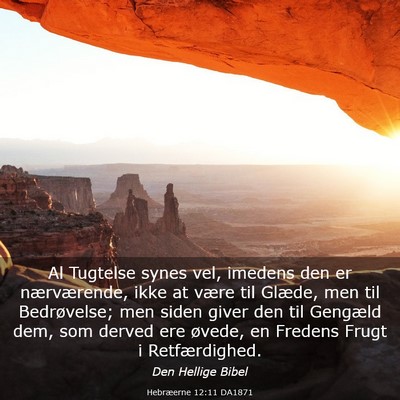 Picture 03 - Hebræerne 12:11 DA1871 - Al Tugtelse synes vel, imedens den er - Bible Verse Picture
