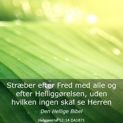 Picture 03 - Hebræerne 12:14 DA1871 - Stræber efter Fred med alle og efter - Bible Verse Picture