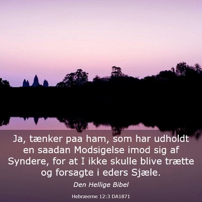Picture 03 - Hebræerne 12:3 DA1871 - Ja, tænker paa ham, som har udholdt en saadan - Bible Verse Picture