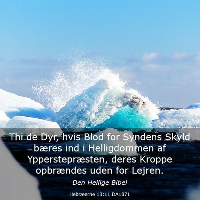 Picture 03 - Hebræerne 13:11 DA1871 - Thi de Dyr, hvis Blod for Syndens Skyld bæres - Bible Verse Picture