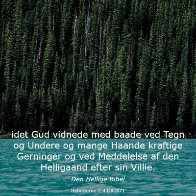 Picture 03 - Hebræerne 2:4 DA1871 - idet Gud vidnede med baade ved Tegn og Undere og - Bible Verse Picture