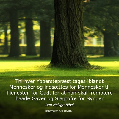 Picture 03 - Hebræerne 5:1 DA1871 - Thi hver Ypperstepræst tages iblandt Mennesker - Bible Verse Picture