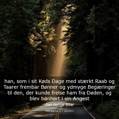Picture 03 - Hebræerne 5:7 DA1871 - han, som i sit Køds Dage med stærkt Raab og - Bible Verse Picture