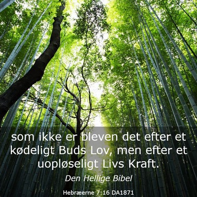 Picture 03 - Hebræerne 7:16 DA1871 - som ikke er bleven det efter et kødeligt Buds - Bible Verse Picture