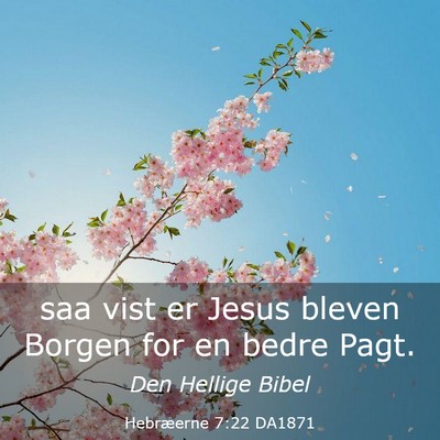 Picture 03 - Hebræerne 7:22 DA1871 - saa vist er Jesus bleven Borgen for en bedre - Bible Verse Picture